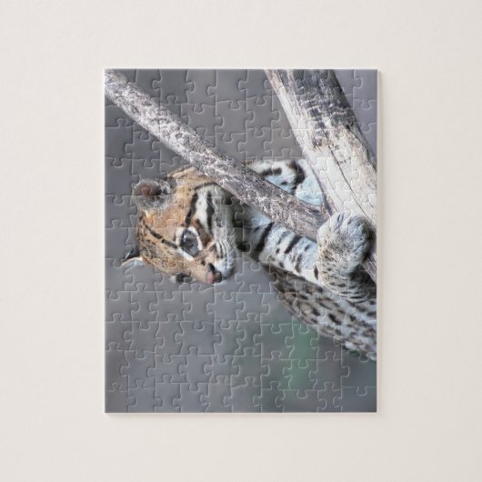 Ocelot Legpuzzel (Verticaal)