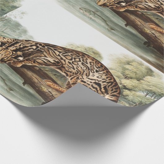 Ocelot, Leopard Cat (Felis pardalis) Illustratie Cadeaupapier (Hoek)