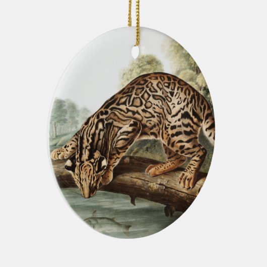 Ocelot, Leopard Cat (Felis pardalis) Illustratie Keramisch Ornament (Rechts)