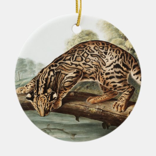 Ocelot, Leopard Cat (Felis pardalis) Illustratie Keramisch Ornament (Voorkant)