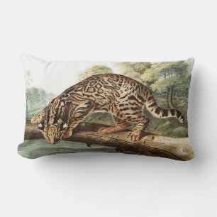 Ocelot, Leopard Cat (Felis pardalis) Illustratie Kussen