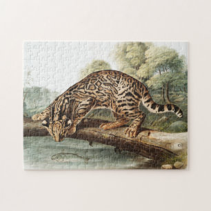 Ocelot, Leopard Cat (Felis pardalis) Illustratie Legpuzzel