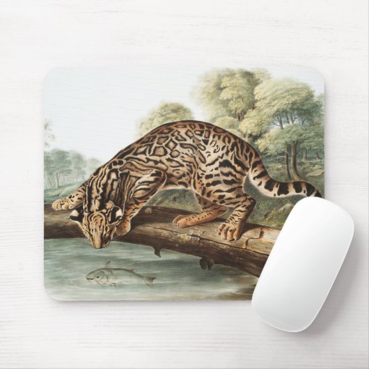 Ocelot, Leopard Cat (Felis pardalis) Illustratie Muismat (Met muis)