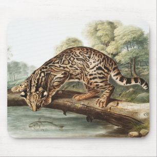 Ocelot, Leopard Cat (Felis pardalis) Illustratie Muismat
