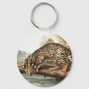 Ocelot, Leopard Cat (Felis pardalis) Illustratie Sleutelhanger