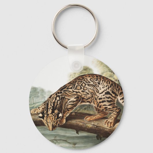 Ocelot, Leopard Cat (Felis pardalis) Illustratie Sleutelhanger (Voorkant)