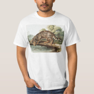 Ocelot, Leopard Cat (Felis pardalis) Illustratie T-shirt