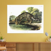 Ocelot, Leopard-Cat (Leopardus pardalis) - Audubon Canvas Afdruk (Insitu (Woonkamer))