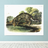 Ocelot, Leopard-Cat (Leopardus pardalis) - Audubon Canvas Afdruk (Insitu (Houten vloer))