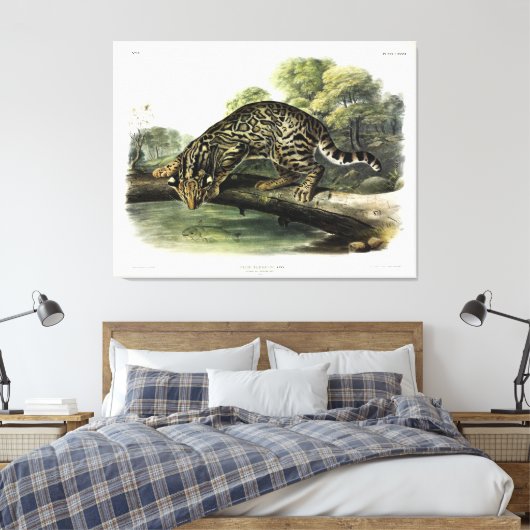 Ocelot, Leopard-Cat (Leopardus pardalis) - Audubon Canvas Afdruk (Insitu (Slaapkamer))