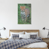 OCELOT Leopardus pardalis) CENTRAAL AMERIKA Canvas Afdruk (Insitu (Slaapkamer))