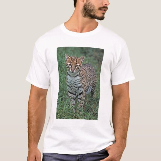 OCELOT Leopardus pardalis) CENTRAAL AMERIKA T-shirt (Voorkant)