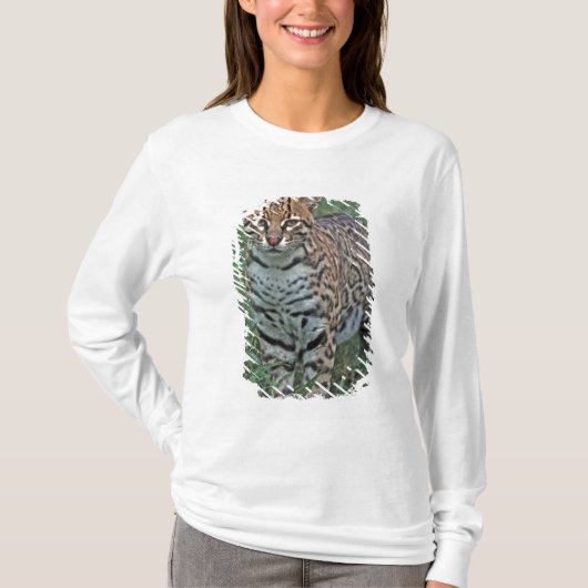OCELOT Leopardus pardalis) CENTRAAL AMERIKA T-shirt (Voorkant)