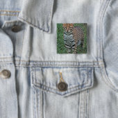 OCELOT Leopardus pardalis) CENTRAAL AMERIKA Vierkante Button 5,1 Cm (In situ)