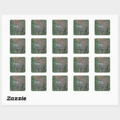 OCELOT Leopardus pardalis) CENTRAAL AMERIKA Vierkante Sticker (Vel)