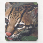 OCELOT MUISMAT (Voorkant)
