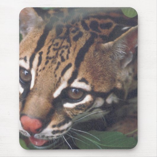 OCELOT MUISMAT (Voorkant)