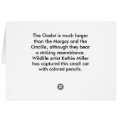 Ocelot Portrait (Achterkant Horizontaal)