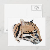Ocelot Portrait Briefkaart (Voorkant / Achterkant)