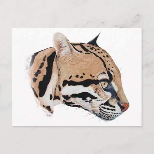 Ocelot Portrait Briefkaart (Voorkant)