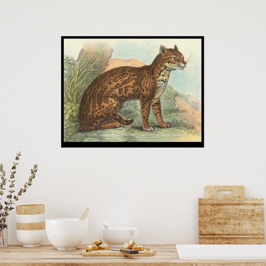 Ocelot Poster (Keuken)