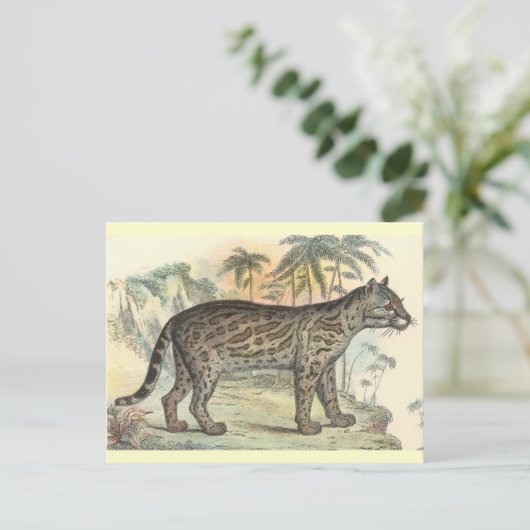 Ocelot (variëteit) briefkaart (Staand voorkant)