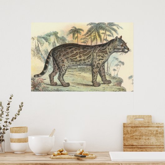 Ocelot (variëteit) poster (Keuken)