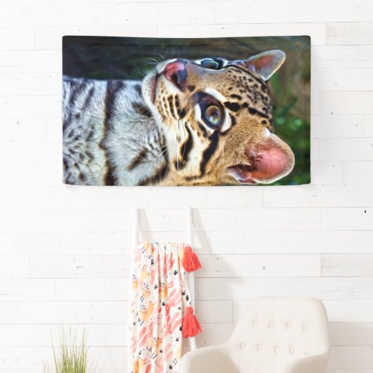 Ocelot - Wild Mini Jaguar Spandoek (Insitu)