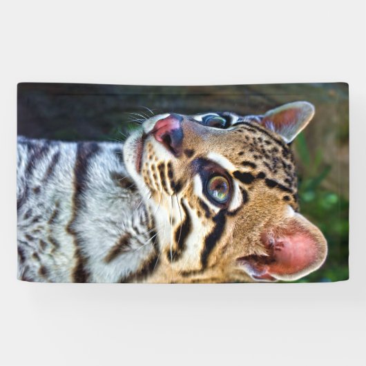 Ocelot - Wild Mini Jaguar Spandoek (Horizontaal)