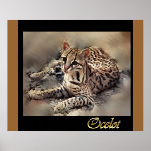 Ocelot Wilde Kat Liefhebbers Poster (Voorkant)