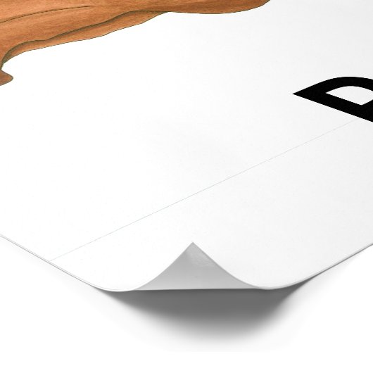 OceTDS189, Cowgirl, regel Poster (Hoek)