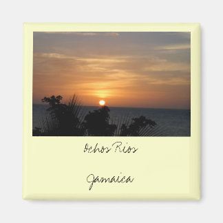 Ochos Rios Jamaica Magneet