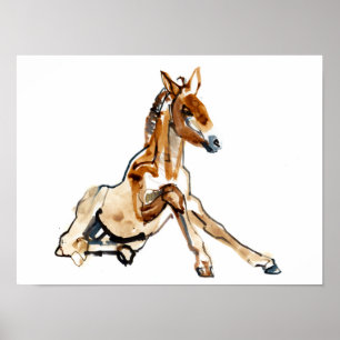 Ochre Foal Poster