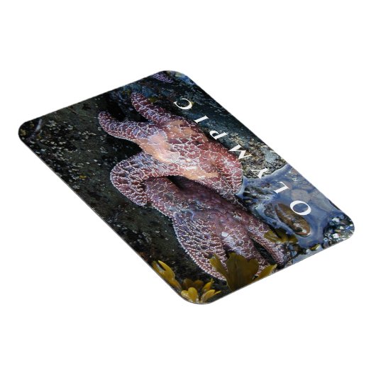 Ochre Zee Star, Tide Pool, Nationaal Park Magneet (Rechterzijde)