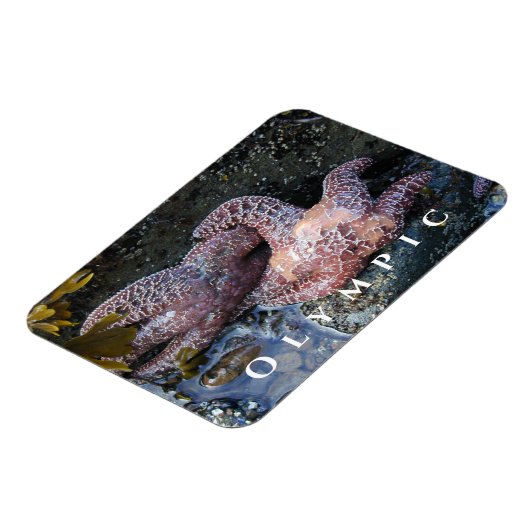 Ochre Zee Star, Tide Pool, Nationaal Park Magneet (Linkerzijde)