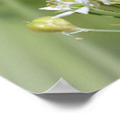 Ochtend Bijen op Blossoms Bijbel Verse Kunst Poster (Hoek)