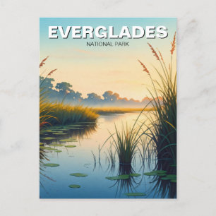 Ochtend Everglades National Park Florida Travel Briefkaart