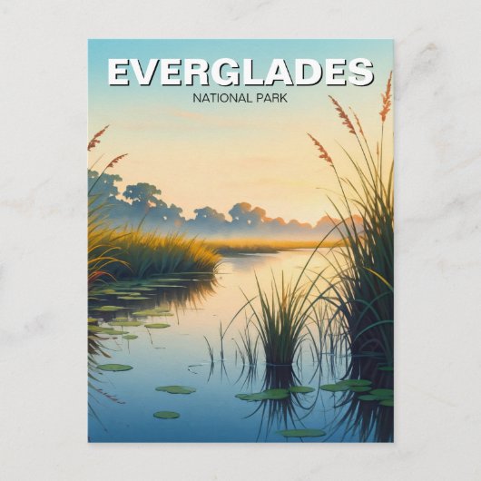 Ochtend Everglades National Park Florida Travel Briefkaart (Voorkant)