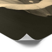 Ochtend glory Flower Sepia Close Poster (Hoek)