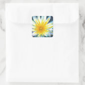 Ochtend Heldere Witte Gele Bloem op Midnight Vierkante Sticker (Tas)