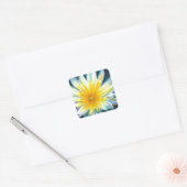 Ochtend Heldere Witte Gele Bloem op Midnight Vierkante Sticker (Envelop)