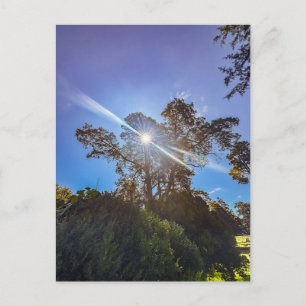 Ochtend in Milledgeville Briefkaart