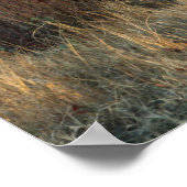 Ochtend in Tennessee Poster (Hoek)