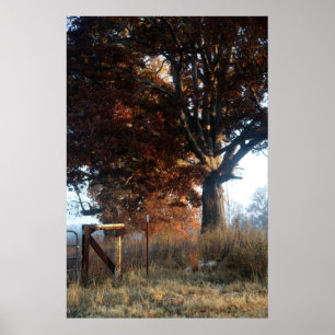 Ochtend in Tennessee Poster