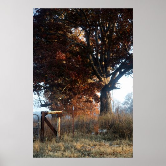 Ochtend in Tennessee Poster (Voorkant)