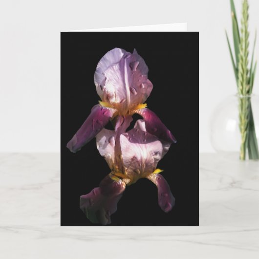 Ochtend Iris Kaart (Voorkant)