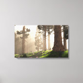 Ochtend Licht (2020) Canvas Afdruk (Voorkant)