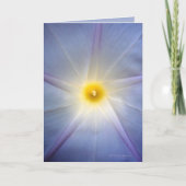 Ochtend oogje kaart (Voorkant)