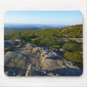 Ochtend op Cadillac Mountain in Acadia Muismat