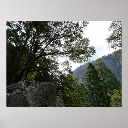 Ochtend op het pad naar Vernal Falls in Yosemite Poster (Voorkant)